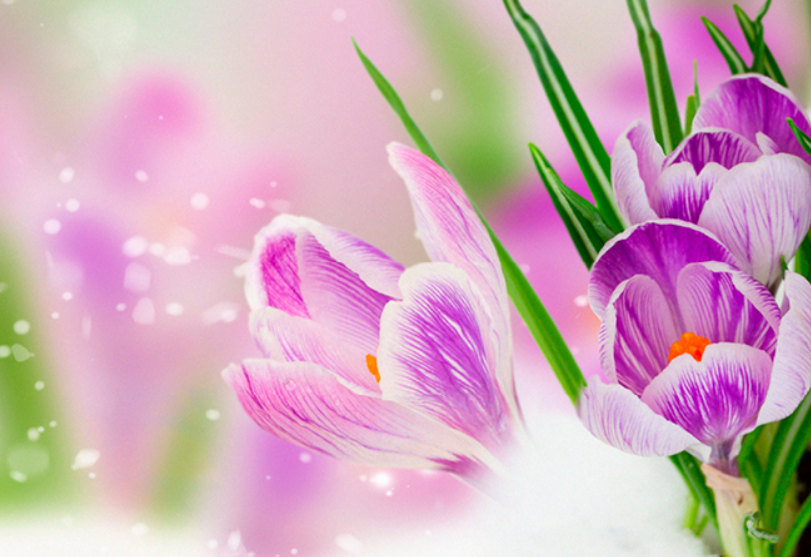 Captura De Pantalla 2023 10 13 113511