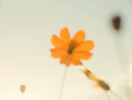 FMCSI WC 12º Workshop Web 1258×381